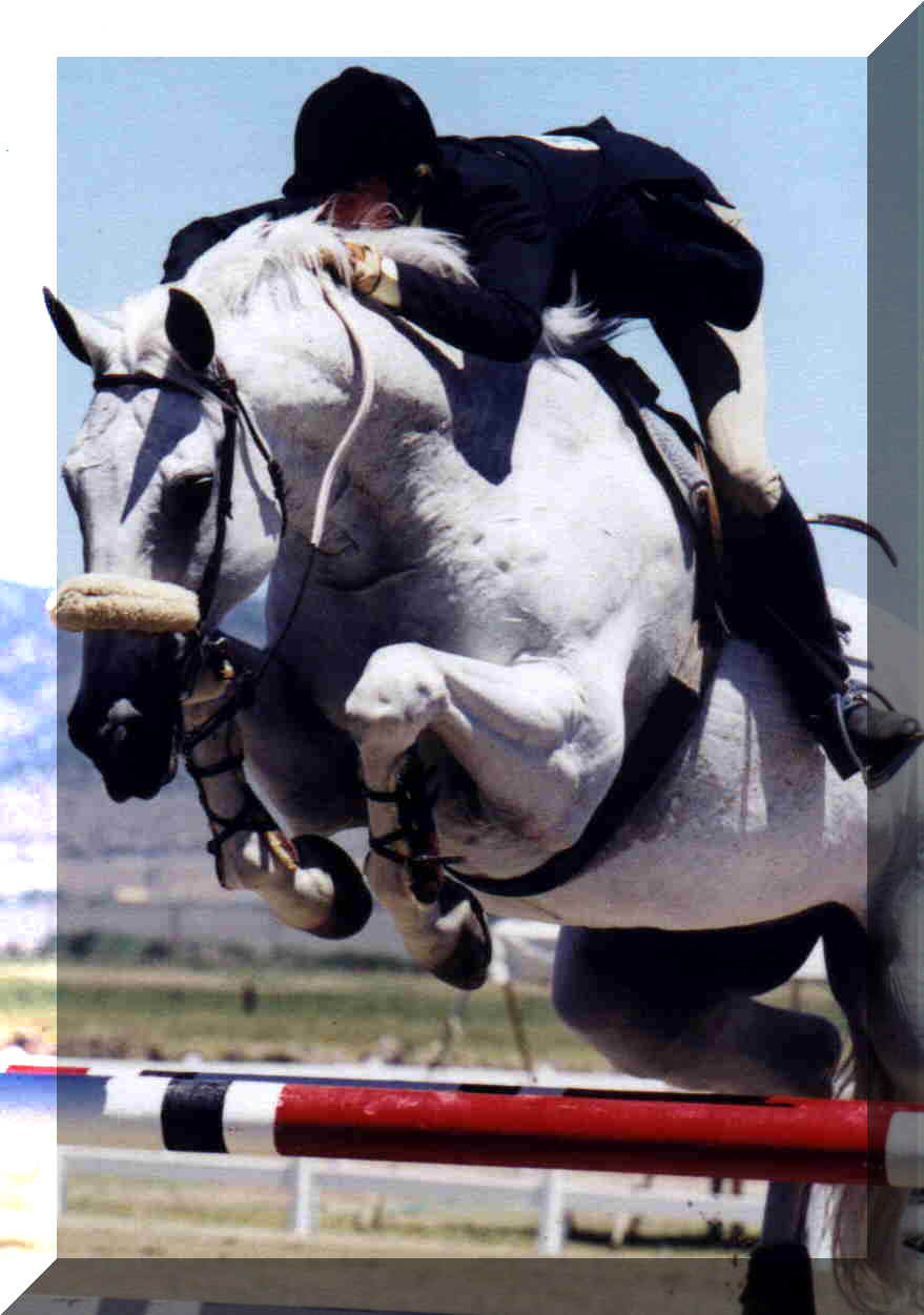 Diamond Mountain Stables - Calistoga, Napa Valley